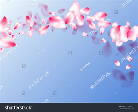 Pink Cherry Blossom Petals Isolated On Stock Vector Royalty Free