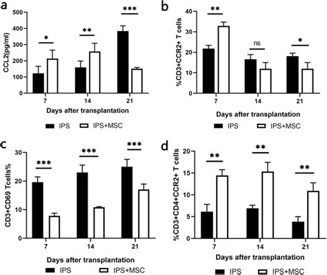 MSCs Regulate CCR2 CCL2 Axis In The Lungs Of IPS Mice The BALF Was