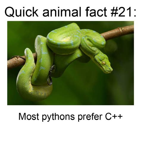 Quick animal fact 21 : r/memes