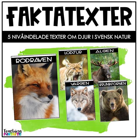 Faktatexter Om Djur L Sniv Er Teaching Funtastic