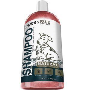 The 5 Best Shampoos for Dog Odor Control [2021 Reviews] - We Need Pets