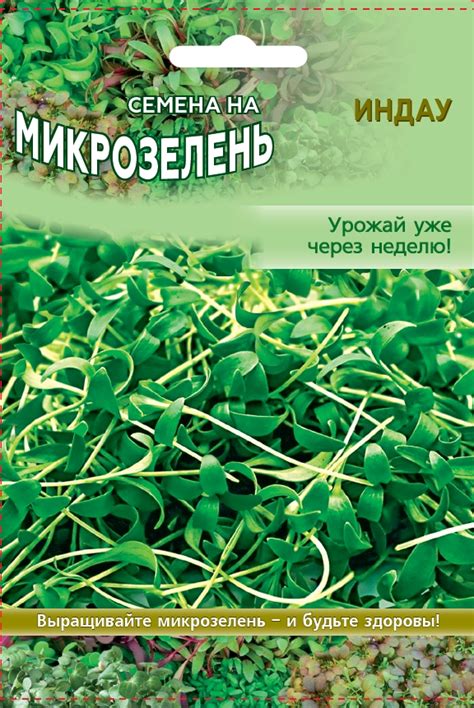 Семена семена купить | Интернет магазин семян овощей «Агросемфонд»