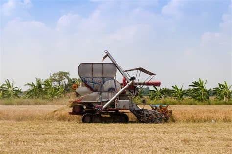 Rice Combine Harvester Working in Ripe Rice Field Stock Image - Image ...