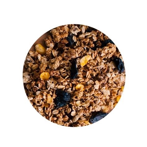 Caixa Granola Tradicional Granel 10kg Terra dos Grãos Atacado PJ