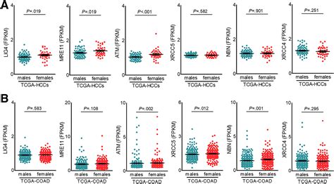 Sex Differences In Genomic Features Of Hepatitis BAssociated