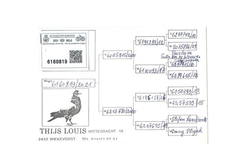 THIJS LOUIS W WIEKEVORST BON 1 Pedigree