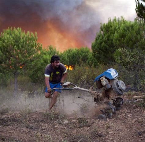 Schwere Waldbrände in Portugals Touristen Regionen Bilder Fotos WELT