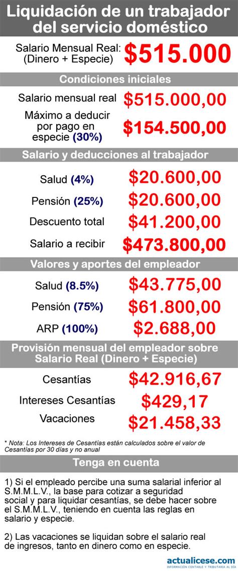 Infograf A Liquidaci N De Un Trabajador Del Servicio Dom Stico