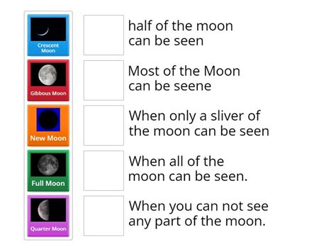 Moon Phases - Match up