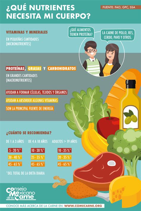 Qué nutrientes necesita mi cuerpo Consejo Mexicano de la Carne