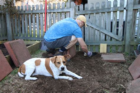 Our DIY Garden Paver Walkway