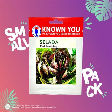 Jual 1 PACK Benih Selada Merah Romain Red Romaine Lettuce Seeds