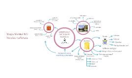 Mapa Mental Ivu By Nicol S Cafferata On Prezi