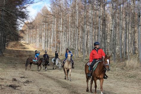 絶景外乗 カナディアンキャンプ八ヶ岳 最新情報 カナディアンキャンプ乗馬クラブ 福岡・八ヶ岳・北海道での乗馬は当クラブへ