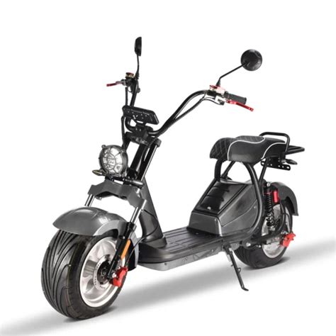 Eec W V Electric Trike Wheels Citycoco Scooter Swing Design For