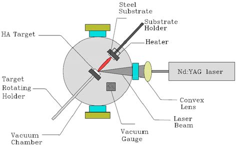 Color Online Schematic Diagram Of The PLD System Used To Deposit HA