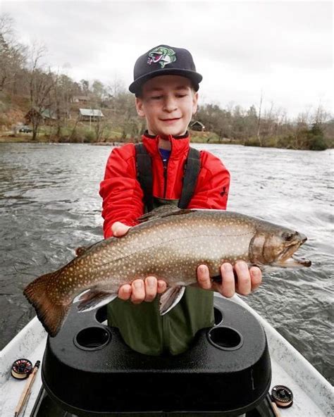 Fishing - Discover Jackson NC | Fish, Fly fishing, Brook trout