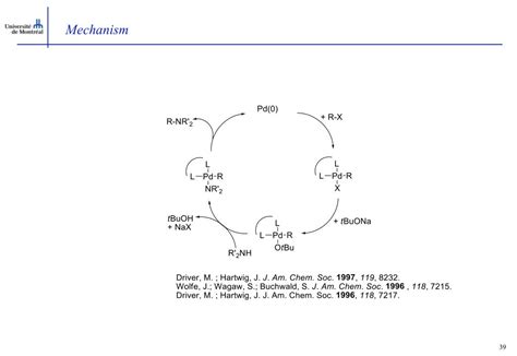 Ppt Buchwald Hartwig Coupling Discovery Optimization And