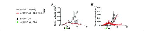 Cpi40 Treatment Promotes Robust Pdac Tumor Regression 250k Kpc 4662