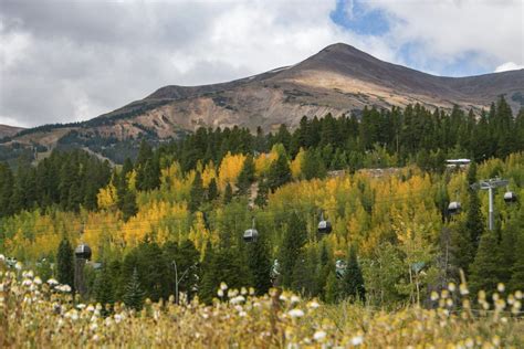 Colorados Fall Leaf Peeping Season Could Be One Of The Best In Years