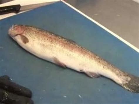 How To Fillet A Trout YouTube