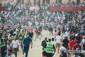 La Contrada Dell Oca Vince Il Palio Dell Assunta Radiosienatv