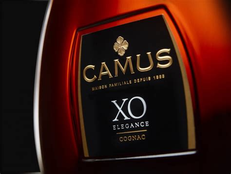 Коньяк Camus (Камю) - описание, цена и отзыв