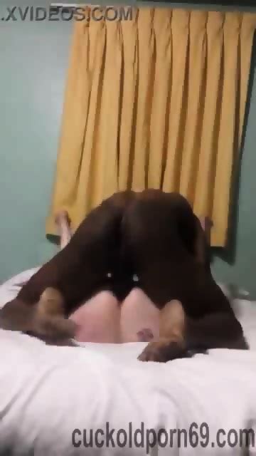 Black Dick Deep Inside White Pussy