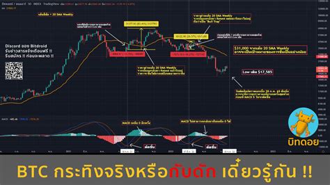 บิทดอย Bitdroid On Twitter Btc กระทิงของจริงหรือกับดัก เดี๋ยวรู้กัน