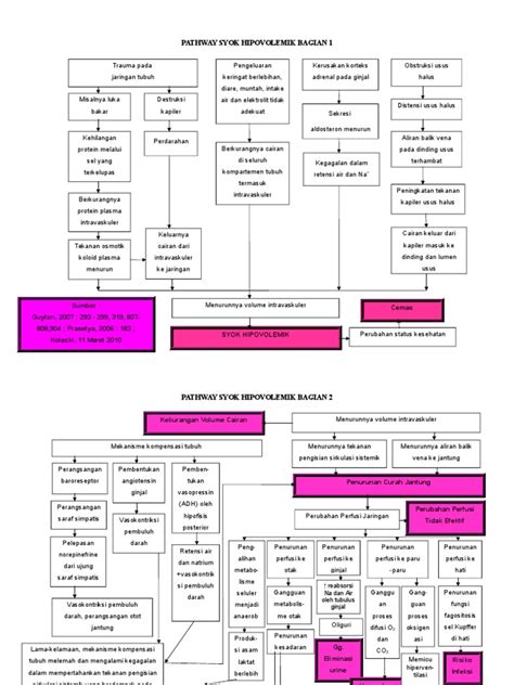 Pathway Hipovolemia