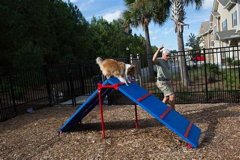 Expert Agility Dog Park Kit - BarkPark - ParkWarehouse.com