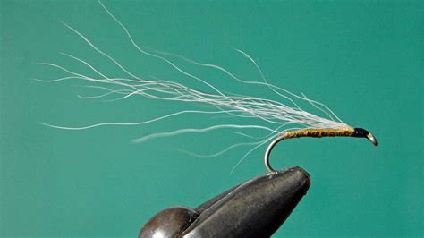 10 Best Streamer Fly Lines in 2025 - Fishing Thrill