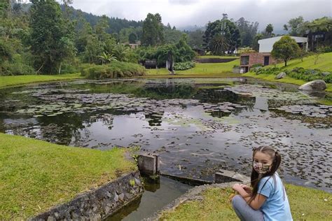 2025 Excursão Eco Parque Recinto del Pensamiento experiência oferecida