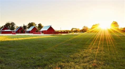 Sc New And Beginning Farmer Program Launches New Advanced Program