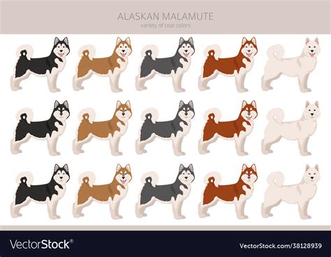 Alaskan Malamute All Colours Clipart Different Vector Image, 53% OFF