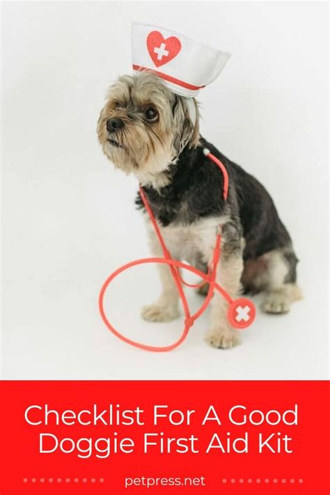 The Ultimate Checklist For A Good Doggie First Aid Kit