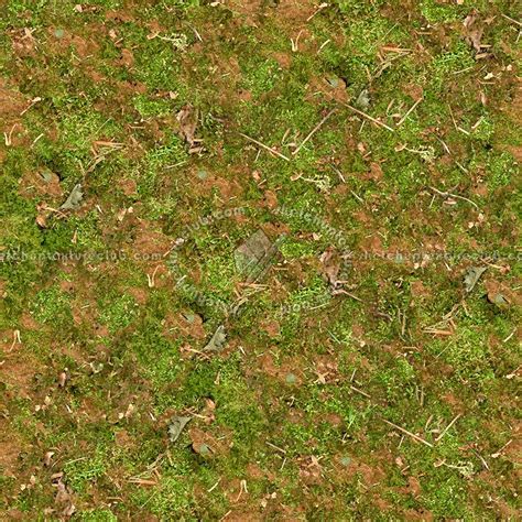 Undergrowth Green Grass Texture Seamless 3440 | Hot Sex Picture