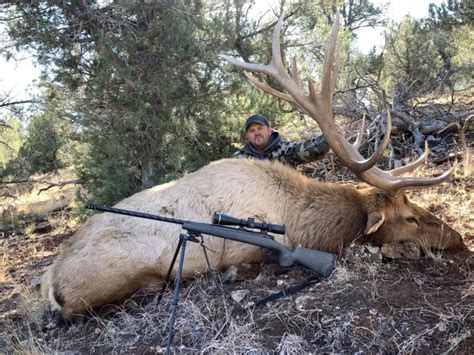 Late Muzzleloader Elk Hunt Exclusive Pursuit Outfitters LLC