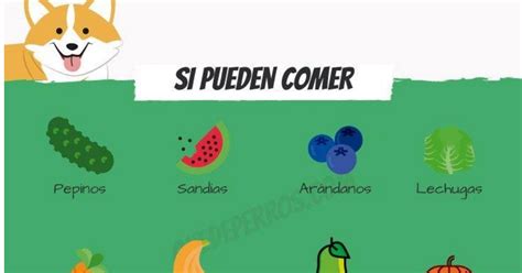 Pueden Los Perros Comer Todo Tipo De Frutas Y Verduras