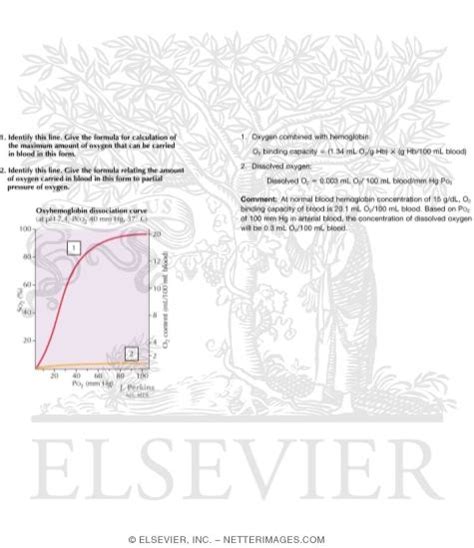 Oxyhemoglobin Dissociation Curves