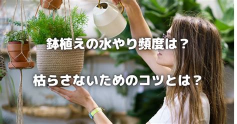 【鉢植えの水やり頻度とコツ】種類別・季節別のベスト実践と自動化まで完全ガイド | ビギナーガーデニング