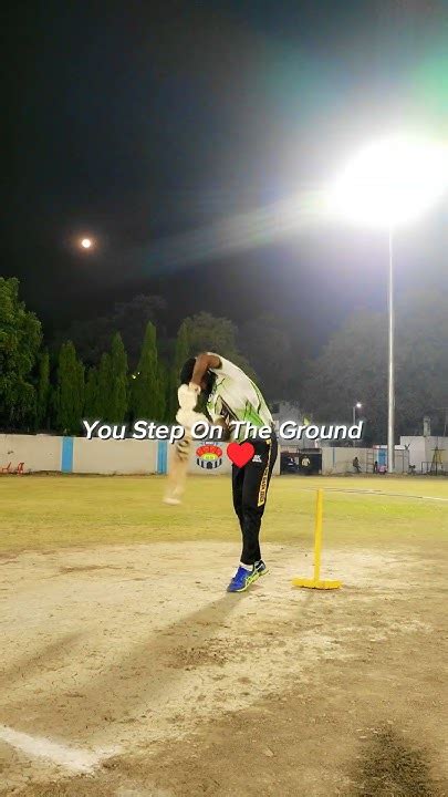 Cricket Lovers Trending Cricket Reel Viral Cricket Reel Night