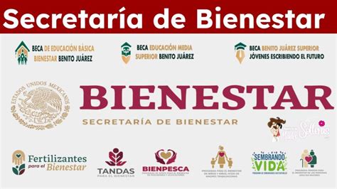 Secretaria De Bienestar Marzo 2024