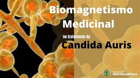 Biomagnetismo Medicinal No Tratamento Da Candida Auris YouTube