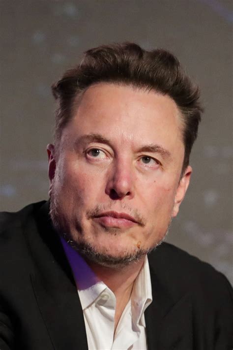 Spend Elon Musk's Money - About, Terms and Privacy