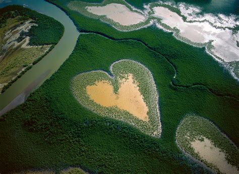 40 ans de photographie et portrait des Tropéziens par Yann Arthus