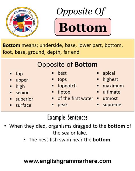 Opposite Of Bottom, Antonyms of Bottom, Meaning and Example Sentences ...