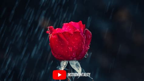 Relaxing Piano Music With Rain Sounds Beautiful Piano Music Sleep