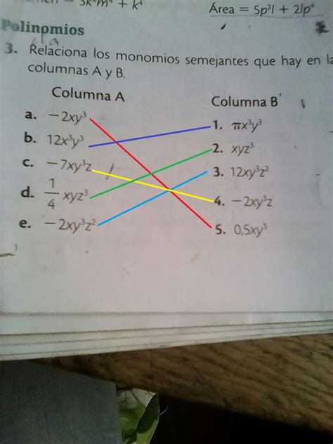 Relaciona Los Monomios Semejantes Que Hay En Las Columnas A Y B