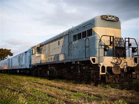 The Q Train (2026) - All You MUST Know Before You Go (w/ Reviews & Photos)
